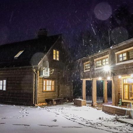 Zemene Villa Bauska Exteriör bild